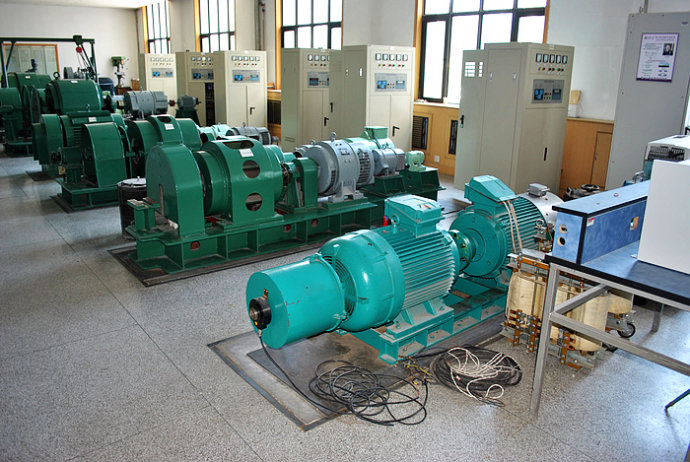 国营新星农场某热电厂使用我厂的YKK高压电机提供动力